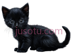 小猫,猫咪PNG