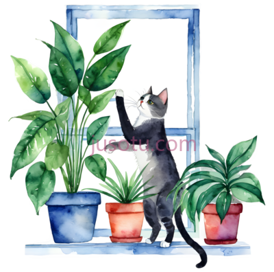 猫,植物,窗户, PNG