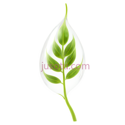 种子, PNG