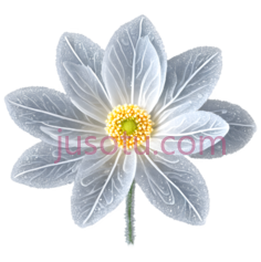 磨砂花PNG