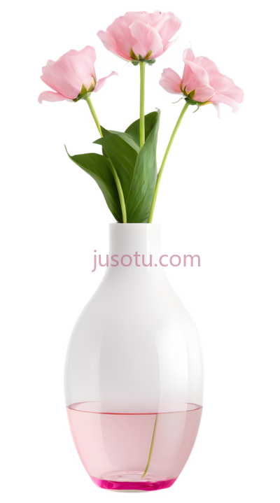 花瓶,现代,白色,粉色, PNG