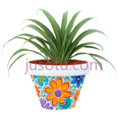 盆栽植物,花卉图案,橙色,蓝色,紫色PNG