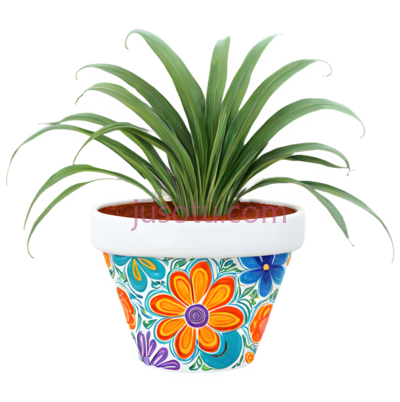 盆栽植物,花卉图案,橙色,蓝色,紫色, PNG