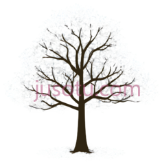 树,插画,白色, PNG