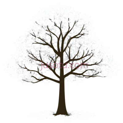 树,插画,白色, PNG