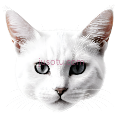 猫咪,头, PNG
