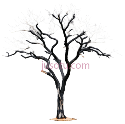 干树,树木, PNG
