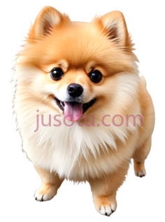 博美犬,卡通,浅棕色PNG