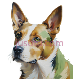 肖像,犬PNG
