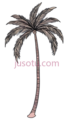 椰子树,插画,粉色PNG