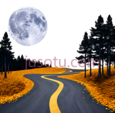 月亮, 道路, 树木,黄色, 黑色PNG