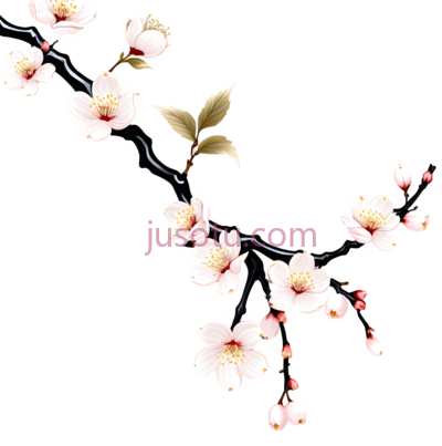 梅花,水墨画,白色,粉色, PNG