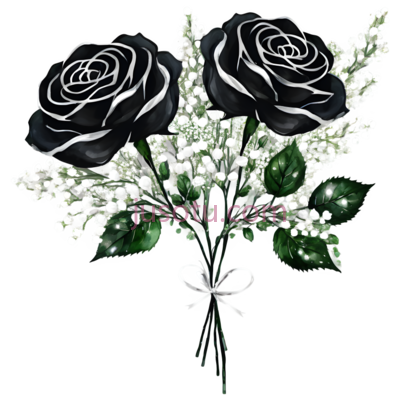玫瑰花,黑白,黑色,白色, PNG