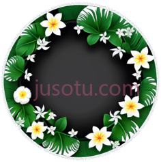 花环,热带,绿色,白色, PNG