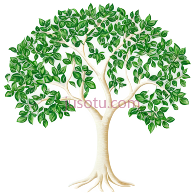 生命树, PNG