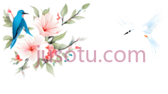 鸟,花,插画,蓝色,粉色,绿色,白色PNG