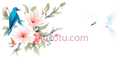 鸟,花,插画,蓝色,粉色,绿色,白色, PNG