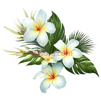 花朵,单花, PNG