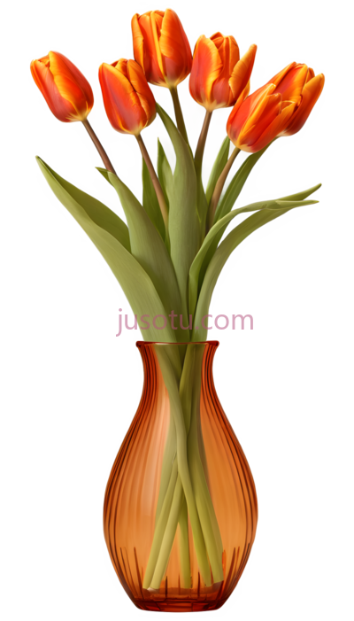 郁金香,橙色, PNG