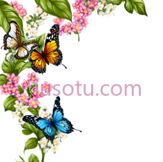 蝴蝶,卡通,白色,黄色,蓝色PNG