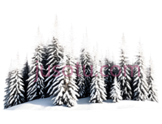 雪松,3D,白色PNG