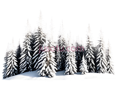 雪松,3D,白色, PNG