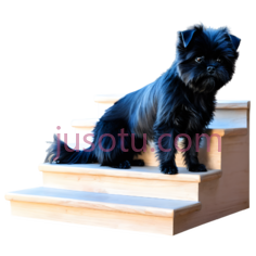 狗,站立,黑色PNG