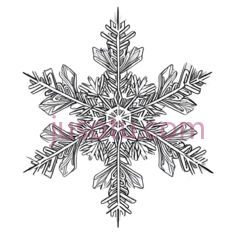 雪花,对称,白色PNG