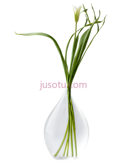 花瓶,室内, PNG