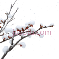 梅花,水墨画,白色PNG
