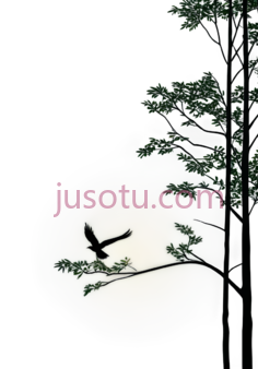 鸟,剪影,黑色PNG
