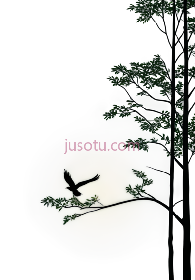 鸟,剪影,黑色, PNG