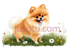 博美犬,卡通,浅棕色PNG