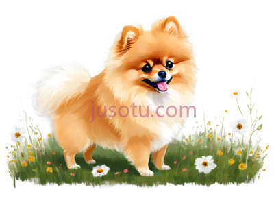 博美犬,卡通,浅棕色, PNG