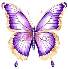 蝴蝶,卡通,紫色,黄色PNG