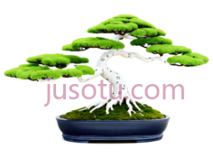 盆栽树,碗景,树木PNG