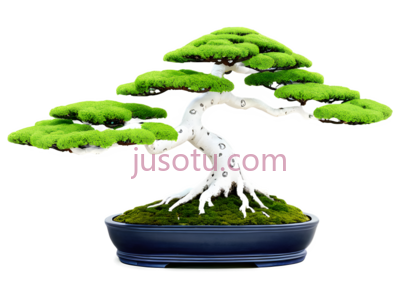 盆栽树,碗景,树木, PNG