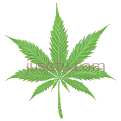 大麻叶PNG