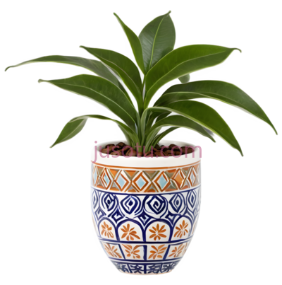 植物,陶瓷花盆,蓝色, 黄色, PNG