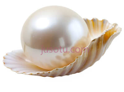 贝壳,珍珠,装饰, PNG