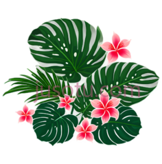 热带,叶子PNG