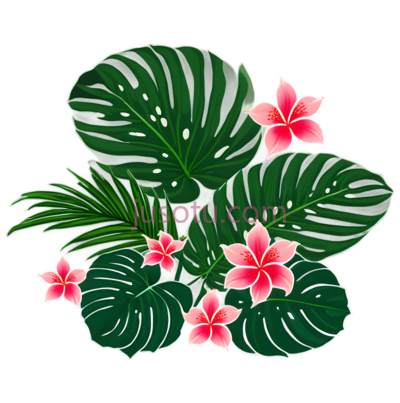 热带,叶子, PNG