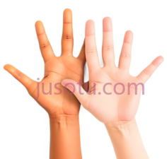 手掌,张开,棕色,白色PNG
