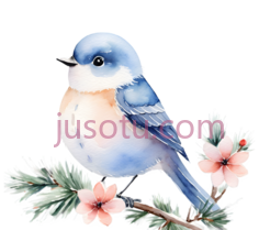 鸟,水彩画,蓝色,白色PNG