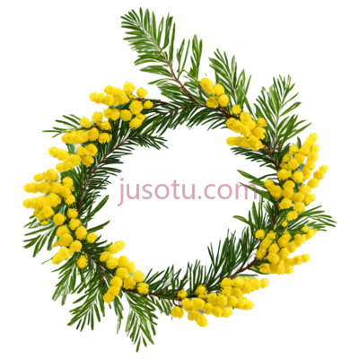 花环,自然风干,黄色,绿色, PNG