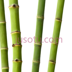 竹, PNG