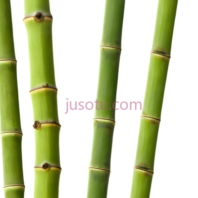 竹, PNG