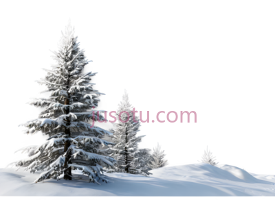 雪松,自然,白色, PNG