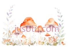 蘑菇,花朵PNG