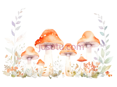 蘑菇,花朵, PNG